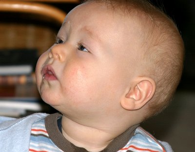 IMG_3014.JPG