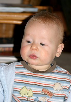 IMG_3016.JPG