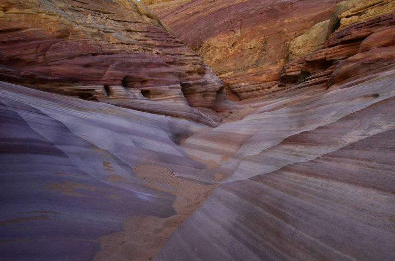 _DSC7286.jpg