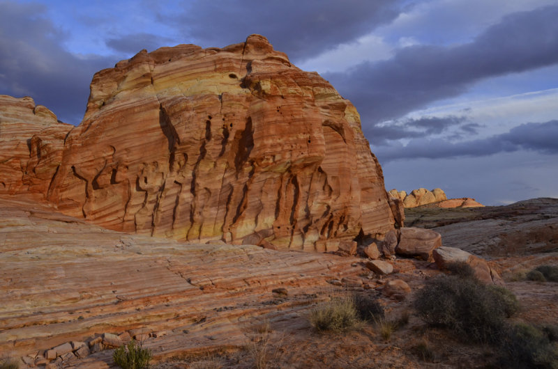_DSC7366.jpg
