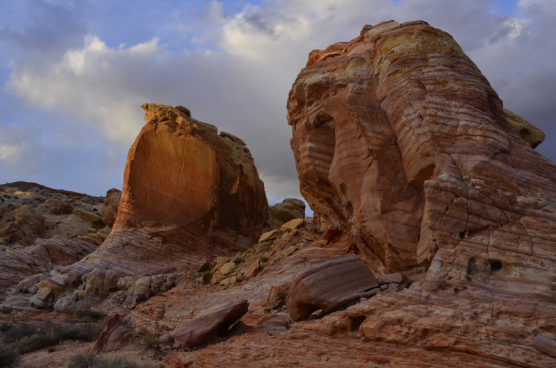 _DSC7391.jpg