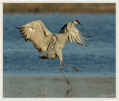 DSC_4836 72wf.jpg