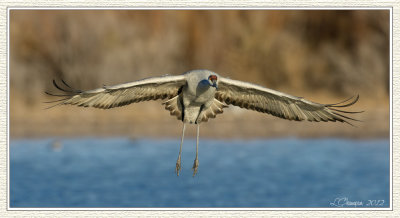 DSC_4844 72wf.jpg