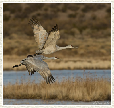 DSC_5540 72wf.jpg