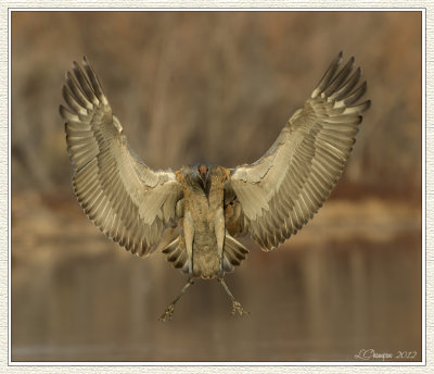 DSC_5940-2 72wf.jpg