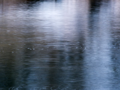 g2/77/588477/3/149145306.57dcDLAv.jpg