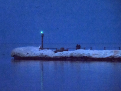 Webster Park 2013