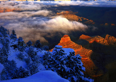 Grand Canyon, Arizona.jpg