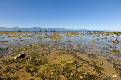 Baler, Aurora D700_19246 copy.jpg