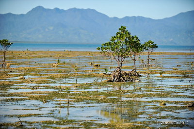 Baler, Aurora D700b_00557 copy.jpg