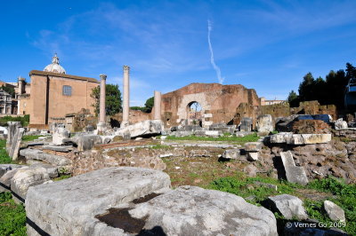 Foro Romano, Rome, Italy D300_19983 copy.jpg