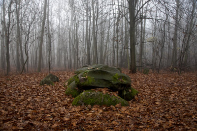 Megalithic tombe, Dolmen Hunebed D7 Schipborg, Drenthe Netherlands