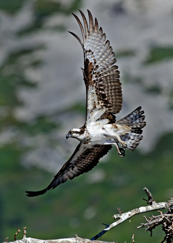 DSC_990210c.jpg