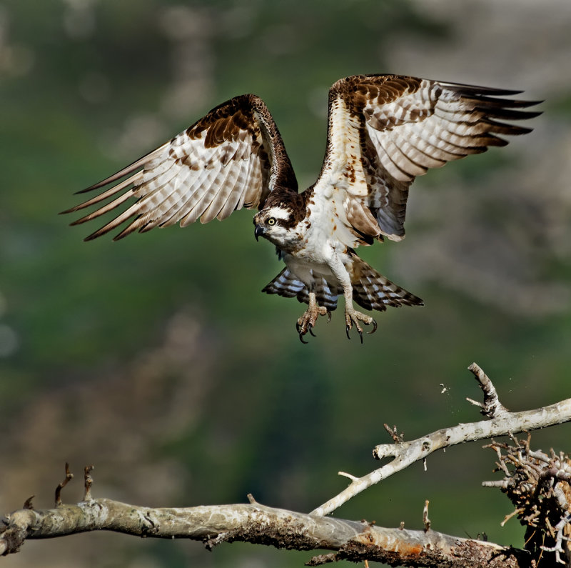 DSC_1853b.jpg