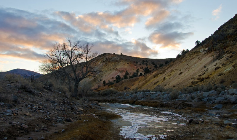 DSC_5809a.jpg