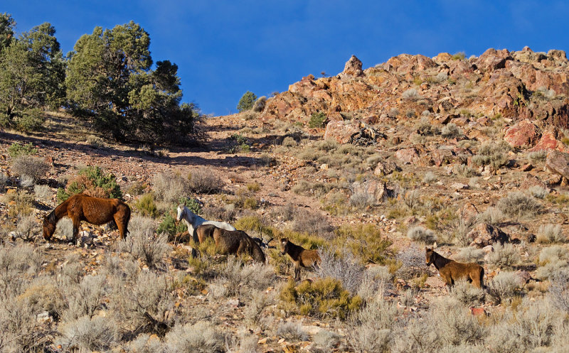 DSC_5879a.jpg