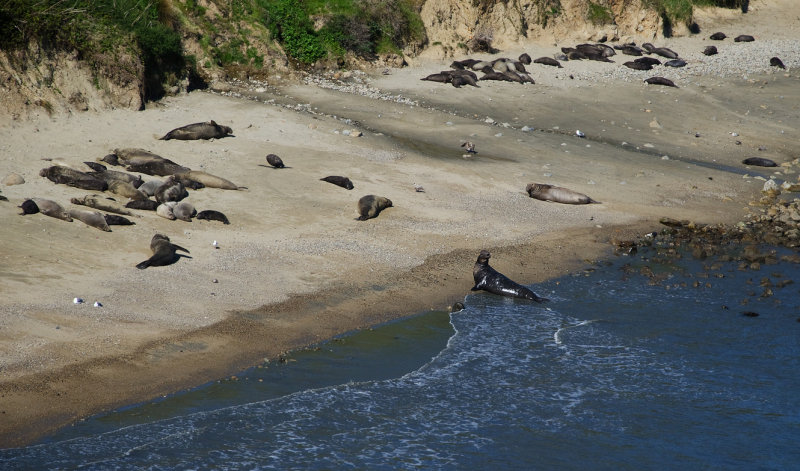 DSC_6544a.jpg