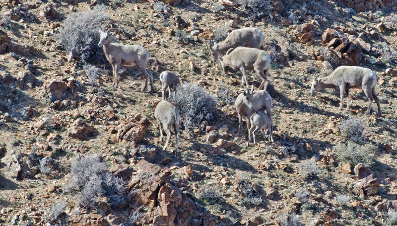 DSC_8382a.jpg