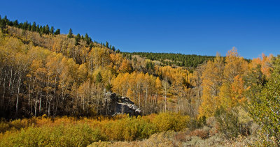 DSC_8584a.jpg