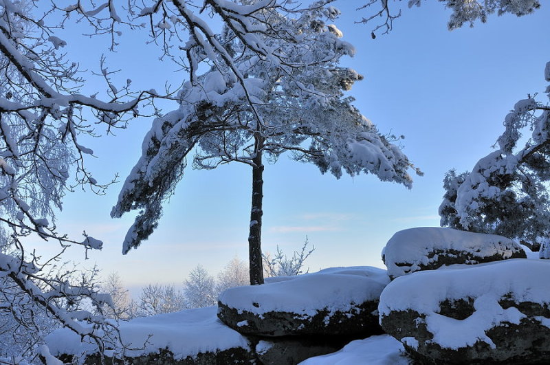 Parasol des neiges