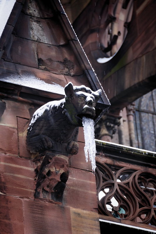 Vague de froid sur la cathdrale