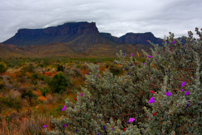 south rim Big Bend NP Texas