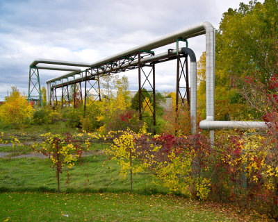 DSC07954.jpg