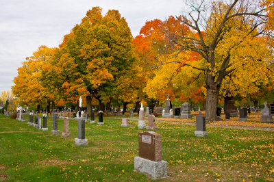 DSC04082.jpg