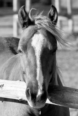 J'attends... / Just Waiting...