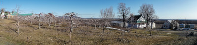 DSC00418.jpg