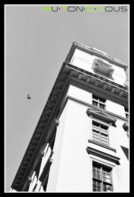 _28_00030 copy.jpg