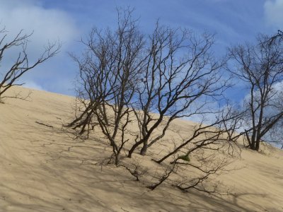 Indiana Dunes National Lakeshore - October 28, 2012
