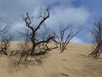 Indiana Dunes National Lakeshore - October 28, 2012