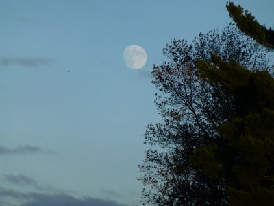 Moon at dusk - Jasper Pulaski National Wildlife Refuge - October 28