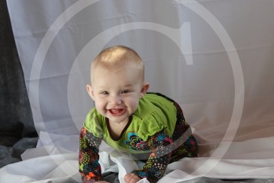 IMG_9950c.jpg