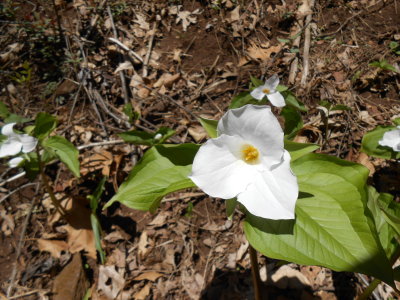 DSCN0178.JPG