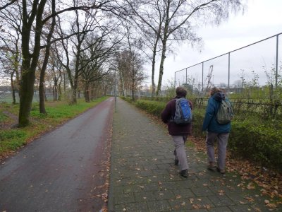 Groene Wissel Wandeling nr. 71 Harderwijk 1 dec  2012