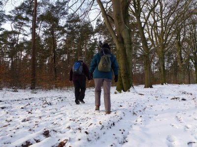 Hooge Vuursche