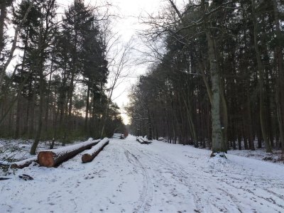 Nabij NS lijn Hilversum Baarn