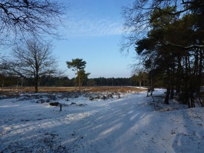 Zuiderheide