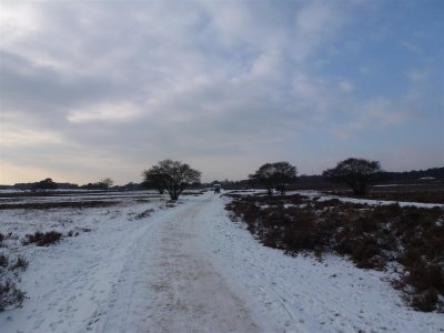 Zuiderheide
