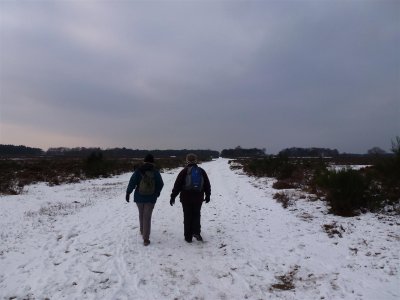 Westerheide