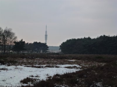 Westerheide met zicht op KPN-toren aan de Witte Kruislaan op het Media Park Hilversum