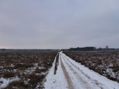 NS Wandeling Groeneveld (Baarn - Hilversum Noord) 19 januari 2013