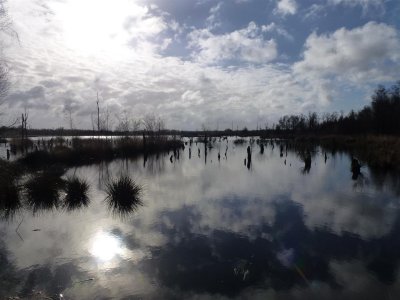 Griendtsveen/Mariapeel