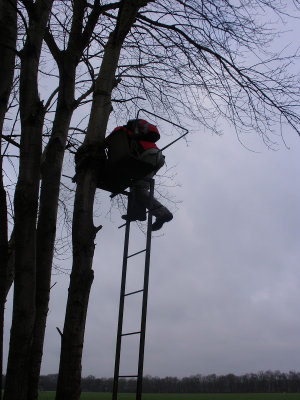 Hans op hoogzit