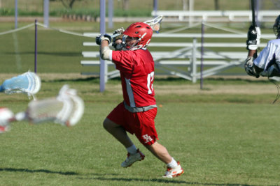 IMG_7087.jpg