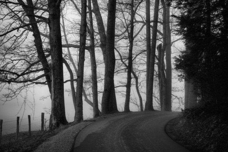 Guard Rails