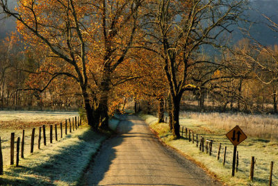  Sparks Lane