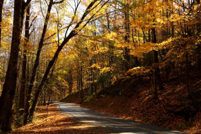 Autumn In Cades Cove 2012